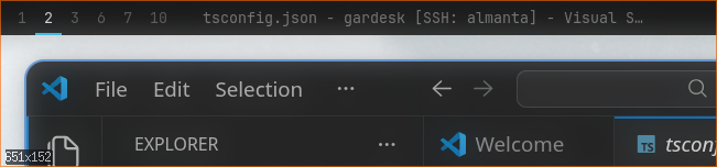 garbar status bar screenshot - custom config