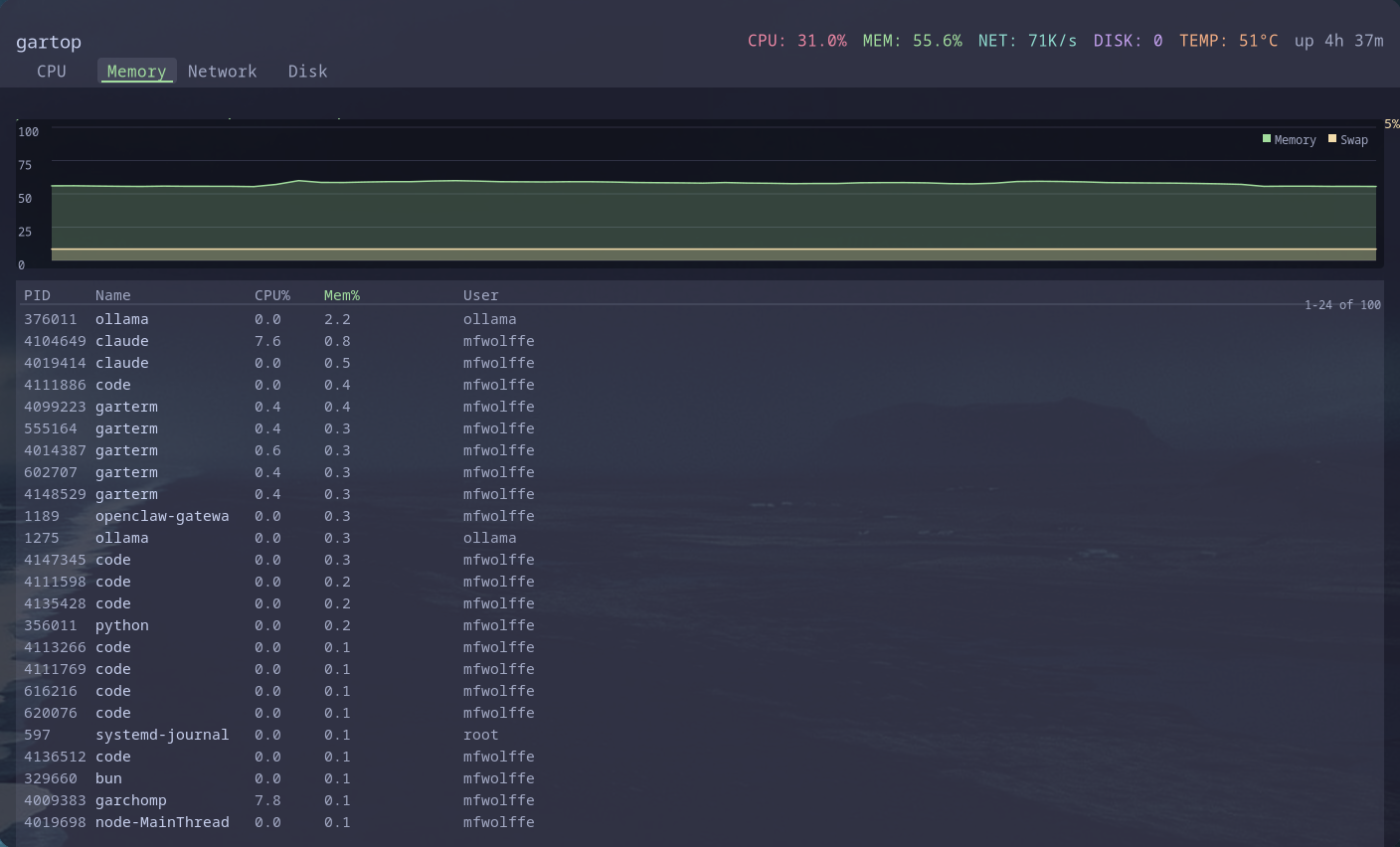 gartop memory and swap usage