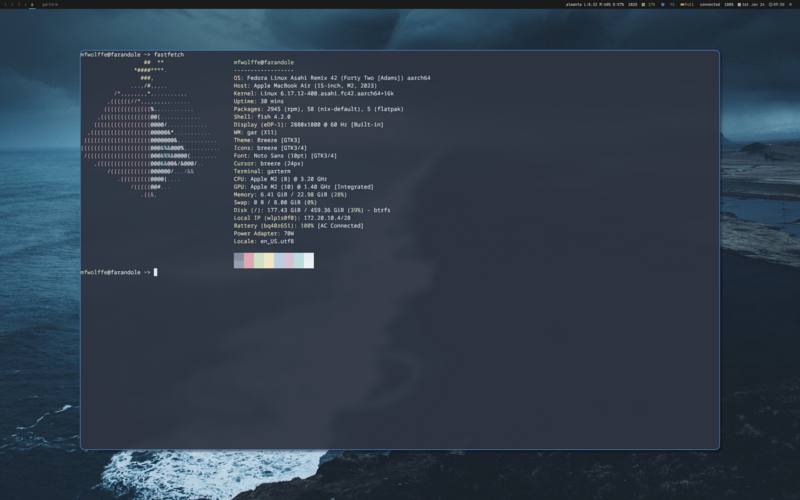 garterm terminal - default view